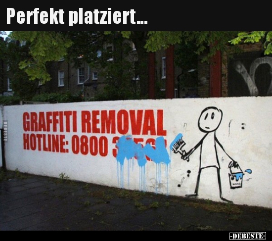 Perfekt platziert...