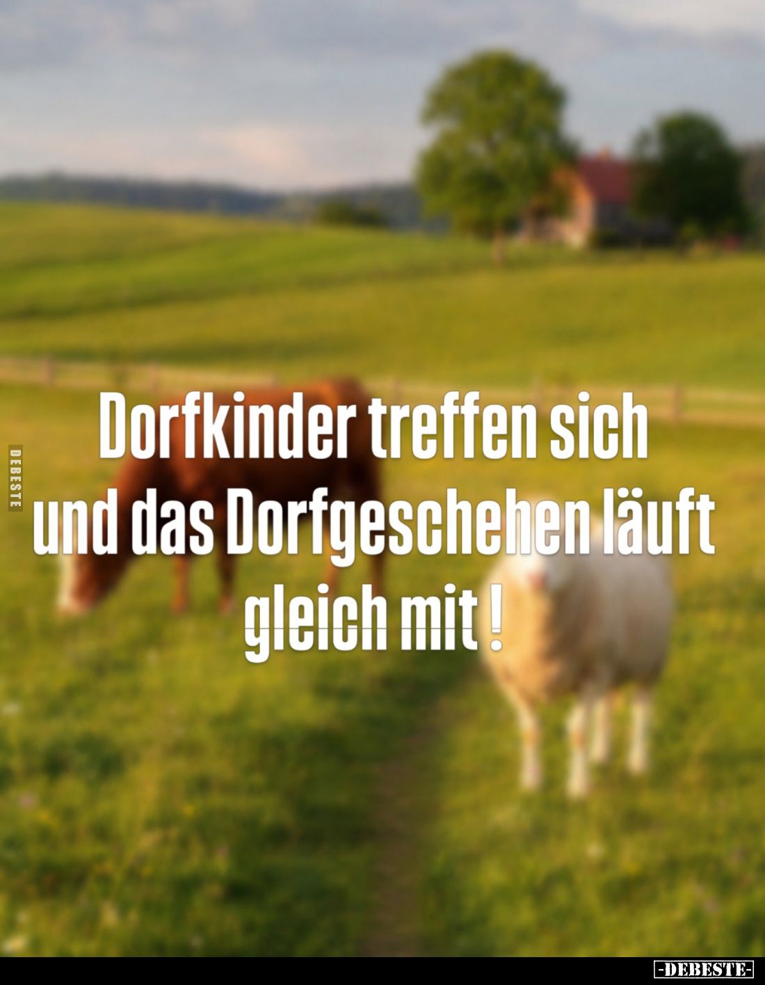Dorfkinder treffen sich und das Dorfgeschehen läuft gleich mit!