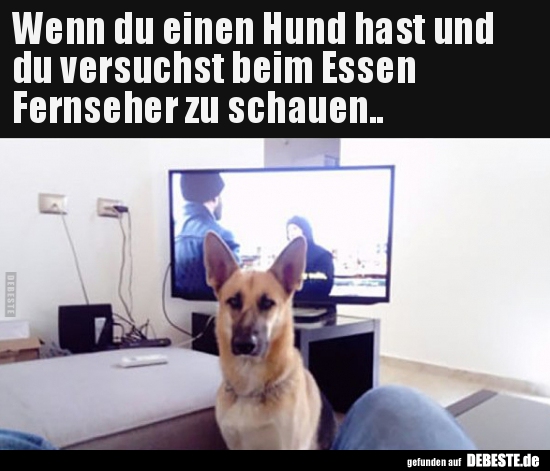 Wenn du einen Hund hast und du versuchst beim Essen.. - Lustige Bilder | DEBESTE.de