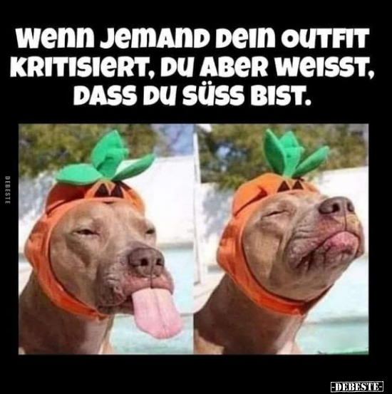 Wenn jemand dein Outfit kritisiert, du aber weisst, dass du süss bist