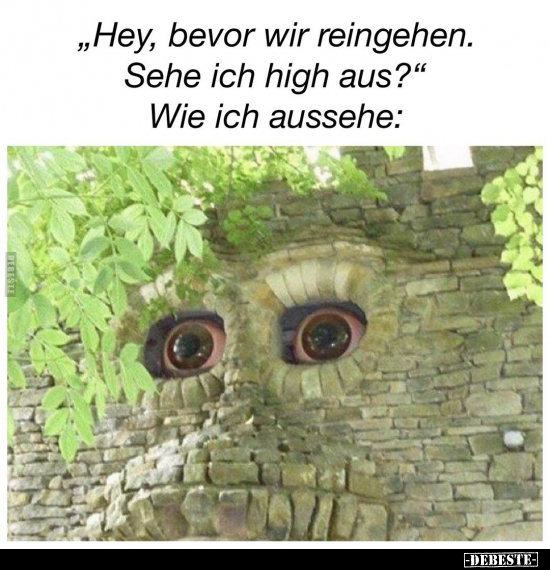"Hey, bevor wir reingehen. Sehe ich high aus?".. - Lustige Bilder | DEBESTE.de