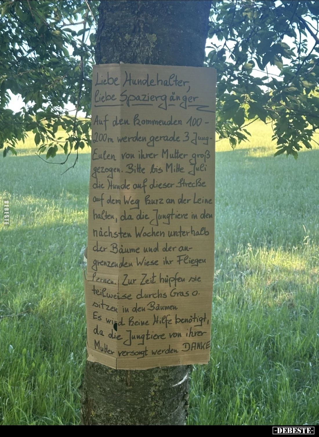 Liebe Hundehalter, Liebe Spaziergänger 
Auf den kommenden 100 - 200m werden gerade 3 Jung-
Eulen von ihrer Mutter groß gezo...