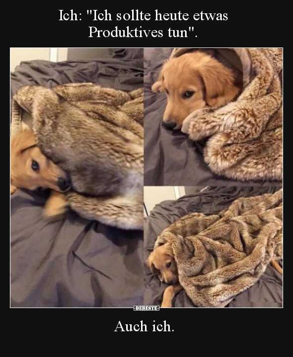 Ich: "Ich sollte heute etwas Produktives tun".
Auch ich.