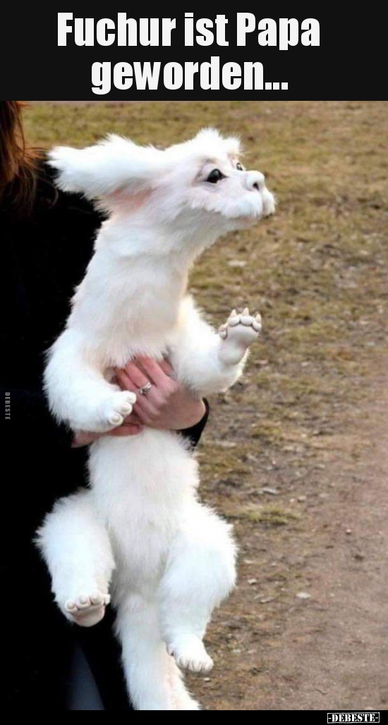 Fuchur ist Papa geworden...