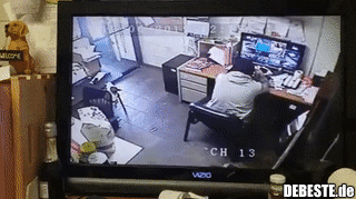 Der Hund schiebt den Stuhl, um sich zu seinem Herrchen zu setzen..