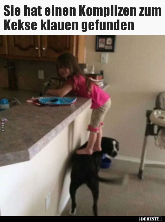 Sie hat einen Komplizen zum Kekse klauen gefunden..