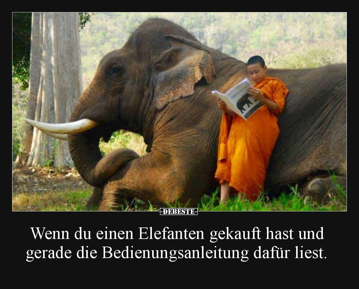 Wenn du einen Elefanten gekauft hast und gerade die Bedienungsanleitung dafür liest.