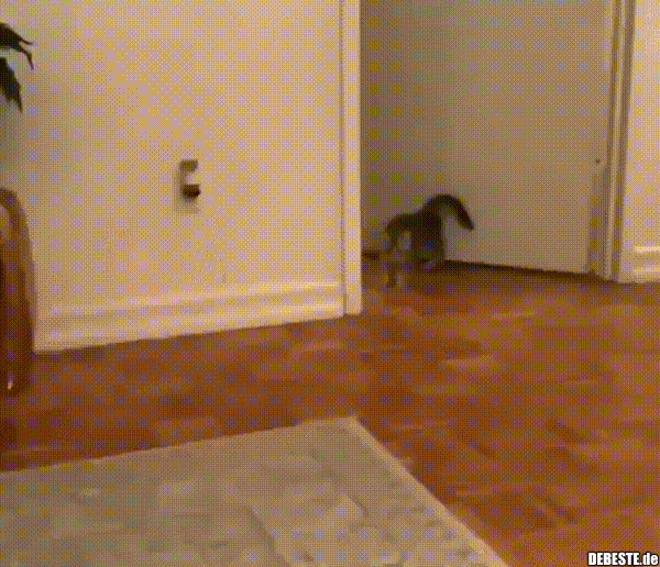  - Lustige Bilder | DEBESTE.de