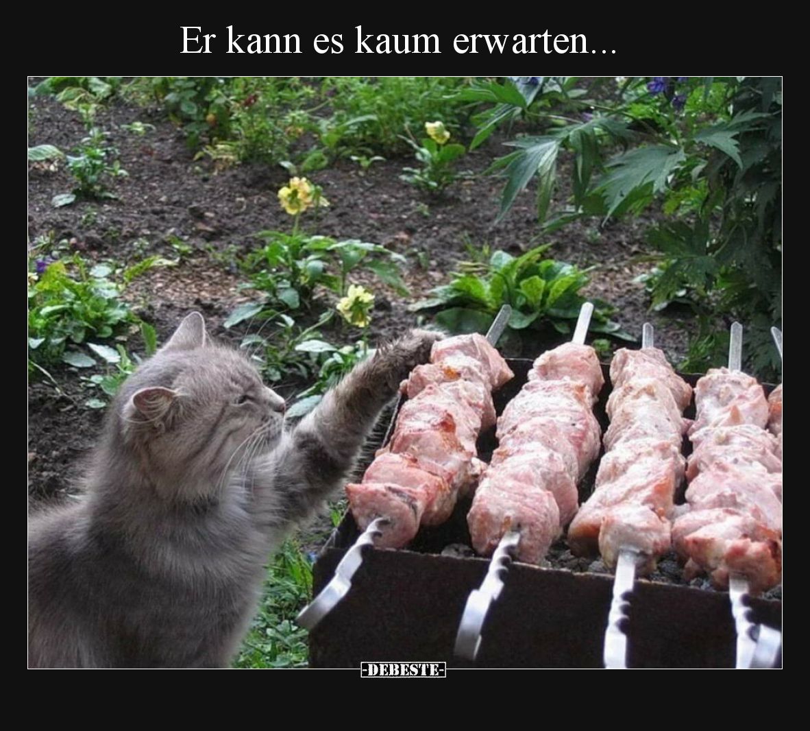 Er kann es kaum erwarten.