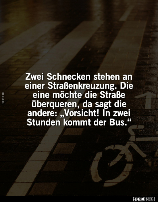 Zwei Schnecken stehen an einer Straßenkreuzung.. - Lustige Bilder | DEBESTE.de