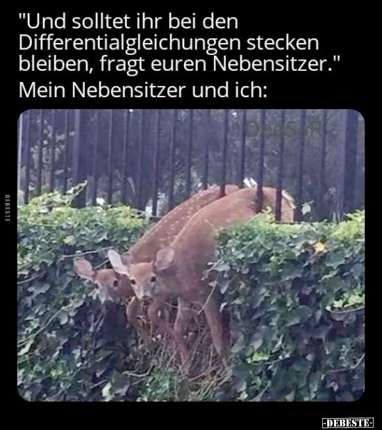 "Und solltet ihr bei den Differentialgleichungen stecken.." - Lustige Bilder | DEBESTE.de