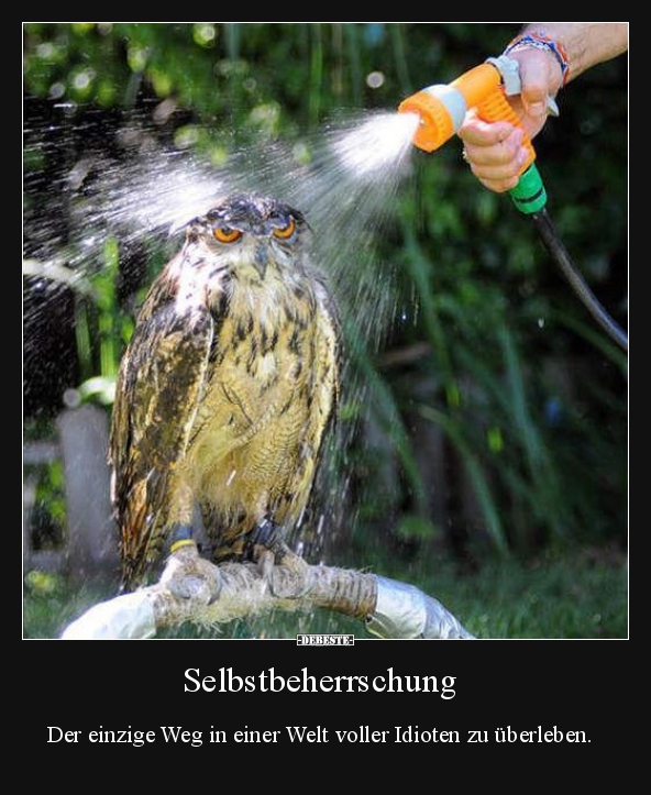 Selbstbeherrschung - Der einzige Weg in einer Welt voller.. - Lustige Bilder | DEBESTE.de