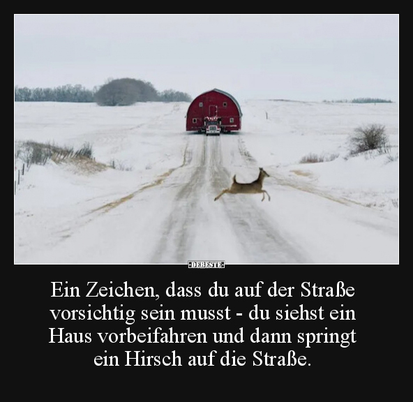 Ein Zeichen, dass du auf der Straße vorsichtig sein musst.. - Lustige Bilder | DEBESTE.de