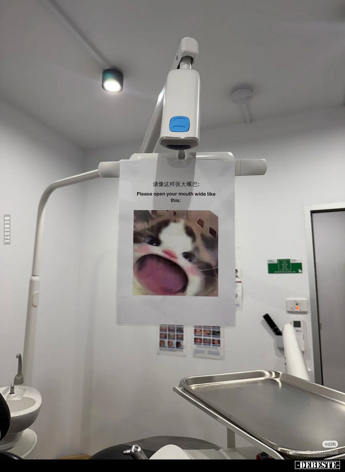  - Lustige Bilder | DEBESTE.de