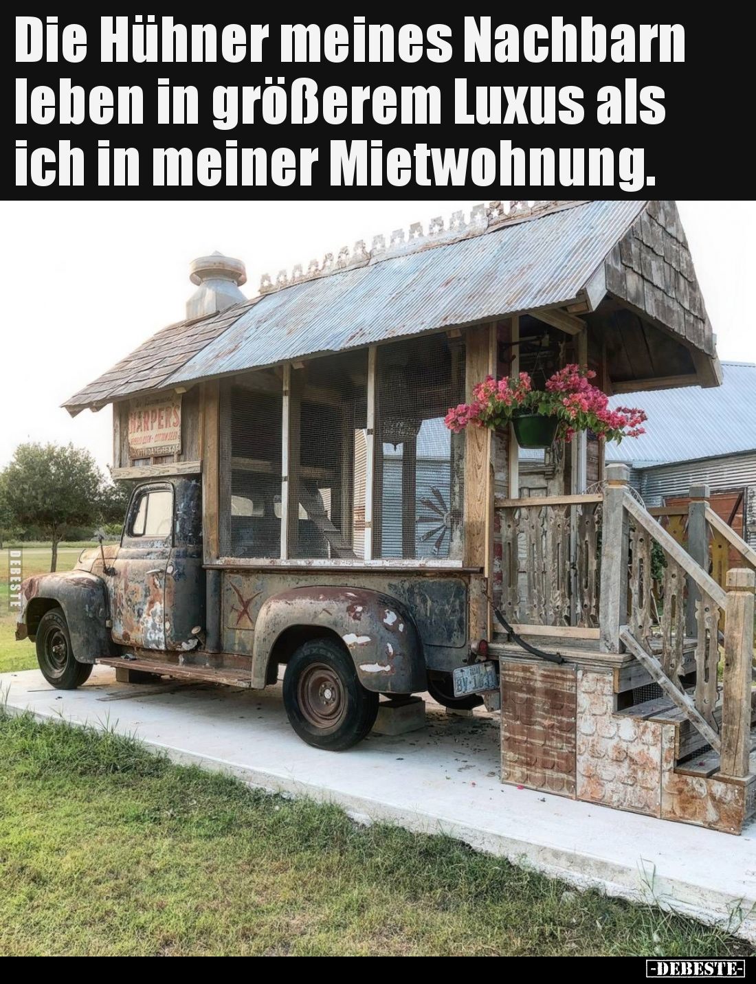 Die Hühner meines Nachbarn leben in größerem Luxus als ich in meiner Mietwohnung.