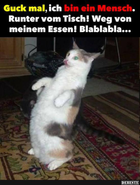 Guck mal, ich bin ein Mensch..