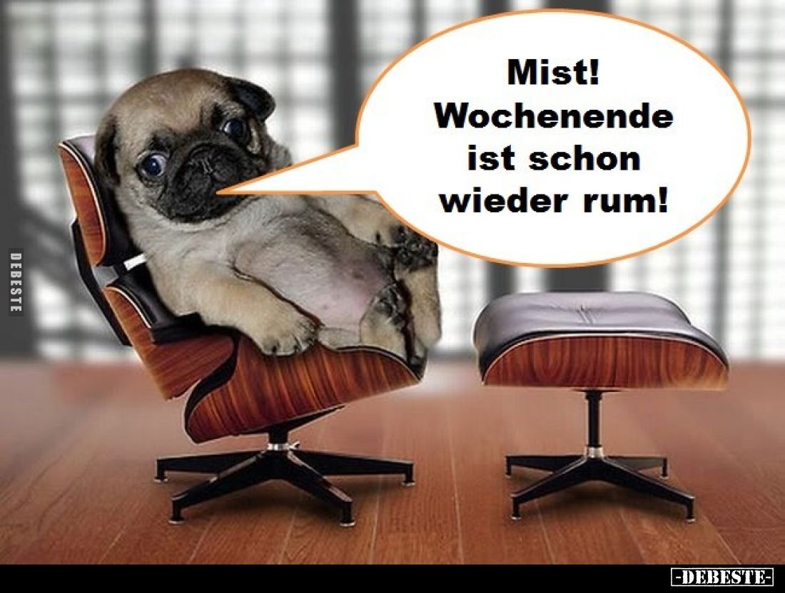 Mist! Wochenende ist schon wieder rum!