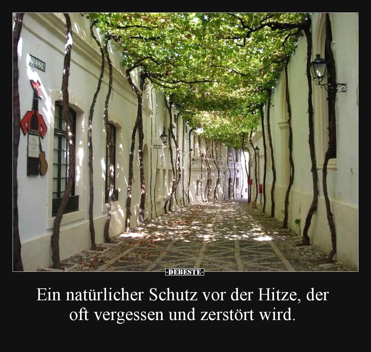 Ein natürlicher Schutz vor der Hitze, der oft vergessen.. - Lustige Bilder | DEBESTE.de