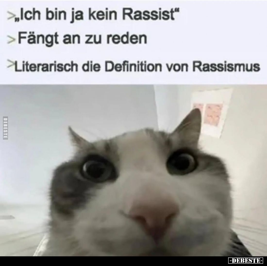 Ich bin ja kein Rassist. -
Fängt an zu reden. -
Literarisch die Definition von Rassismus.