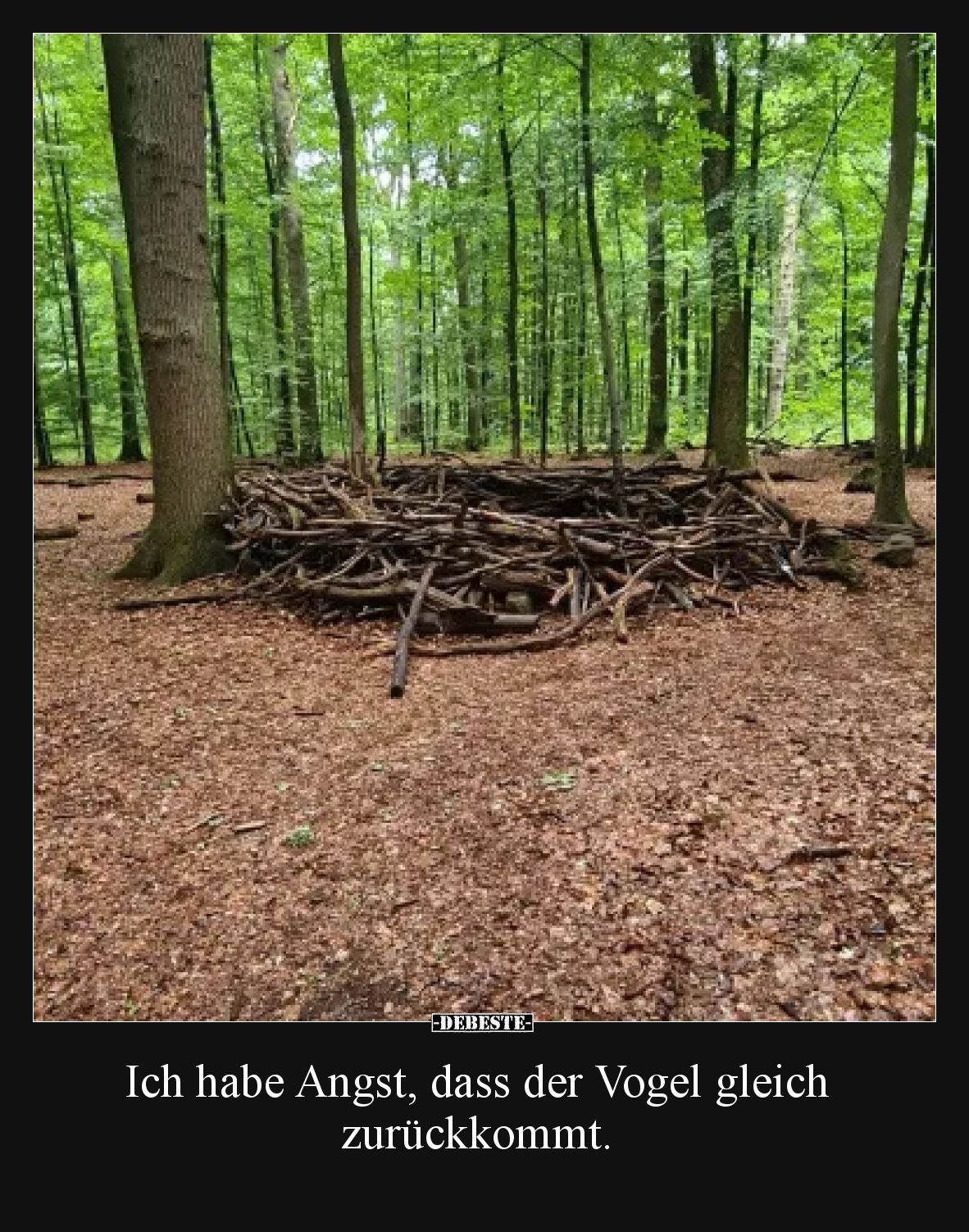 Ich habe Angst, dass der Vogel gleich zurückkommt... - Lustige Bilder | DEBESTE.de