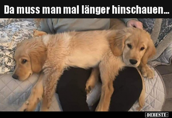 Da muss man mal länger hinschauen...