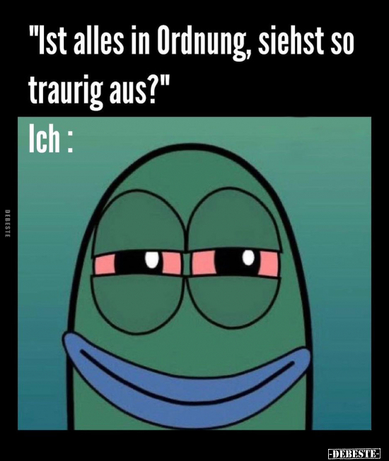 "Ist alles in Ordnung, siehst so traurig aus?".. - Lustige Bilder | DEBESTE.de