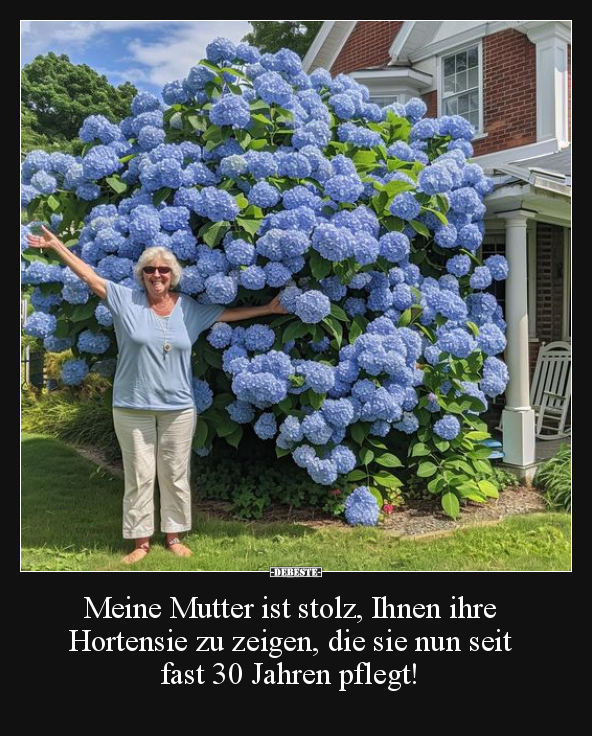 Meine Mutter ist stolz, Ihnen ihre Hortensie zu zeigen.. - Lustige Bilder | DEBESTE.de