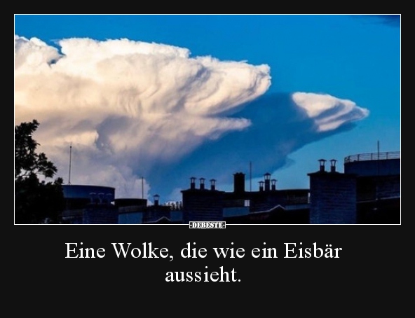 Eine Wolke, die wie ein Eisbär aussieht... - Lustige Bilder | DEBESTE.de