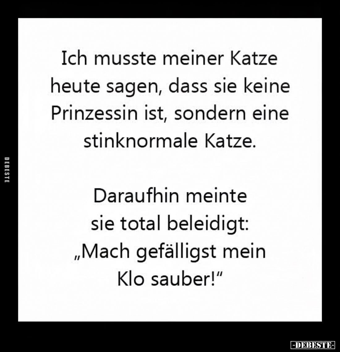 Ich musste meiner Katze heute sagen.. - Lustige Bilder | DEBESTE.de