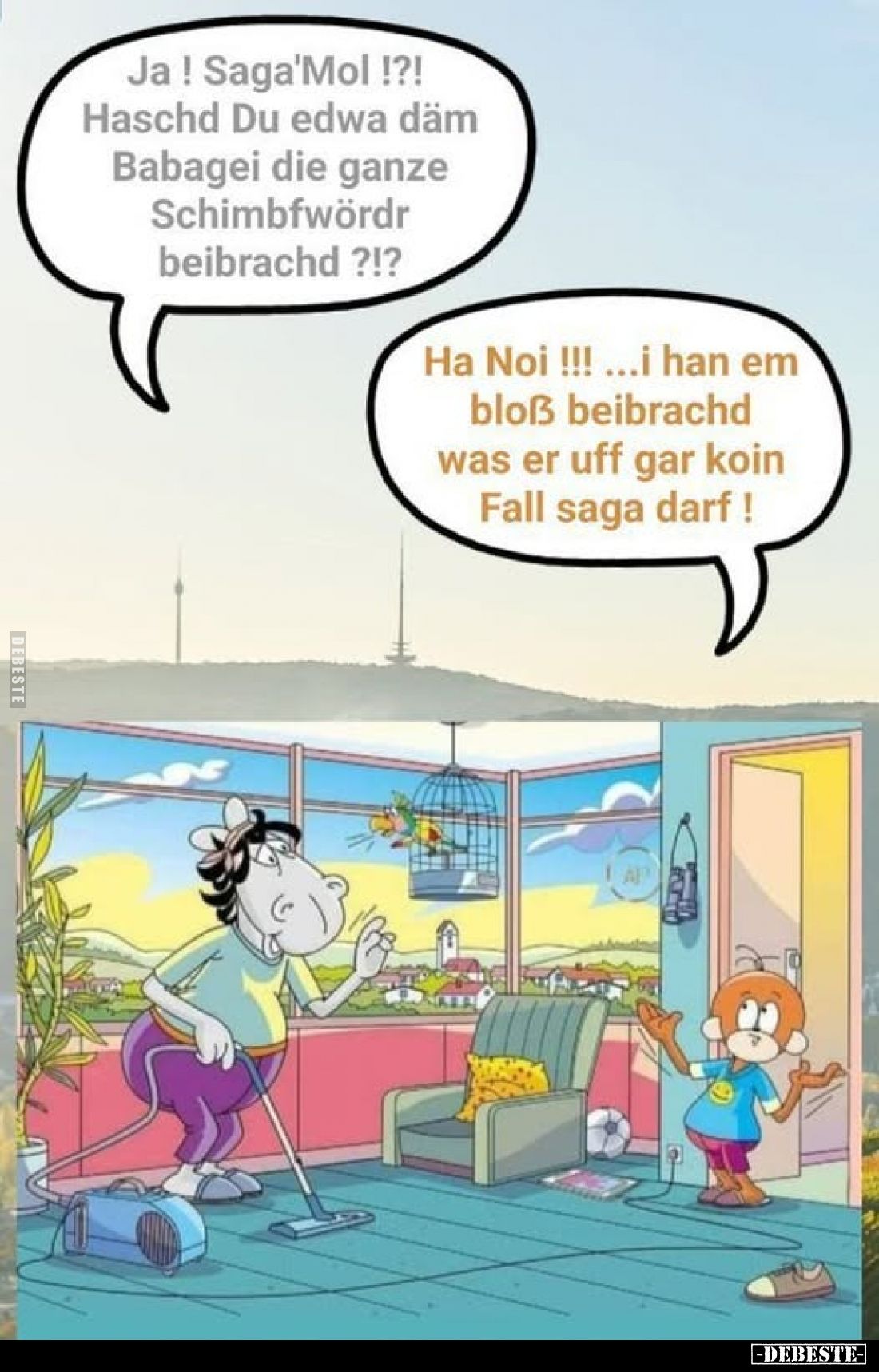 Ja! Saga'Mol!?! Haschd Du edwa däm Babagei die ganze Schimbfwördr beibrachd ?!?
Ha Noi !!! ...i han em bloß beibrachd was er...