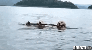 Gemeinsam sind wir stark..