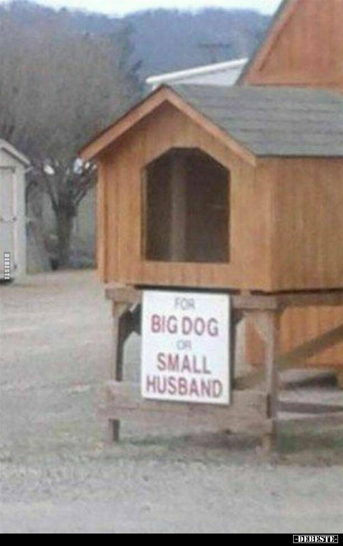 BIG DOG OR SMALL HUSBAND