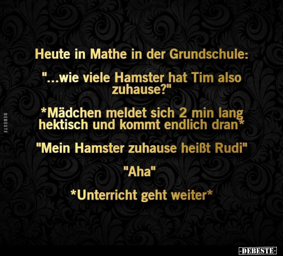 Heute in Mathe in der Grundschule: "...wie viele Hamster.." - Lustige Bilder | DEBESTE.de