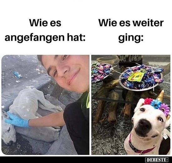 Wie es angefangen hat: / Wie es weiter ging.. - Lustige Bilder | DEBESTE.de