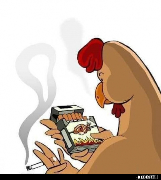  - Lustige Bilder | DEBESTE.de