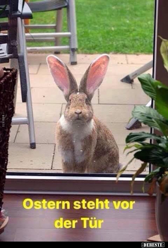 Ostern steht vor der Tür... - Lustige Bilder | DEBESTE.de
