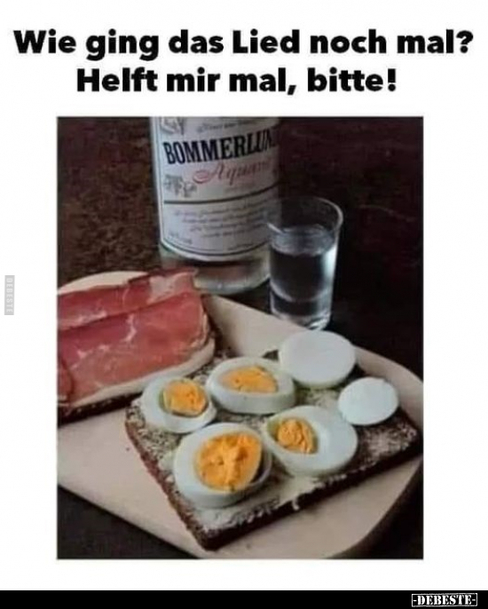 Wie ging das Lied noch mal?.. - Lustige Bilder | DEBESTE.de