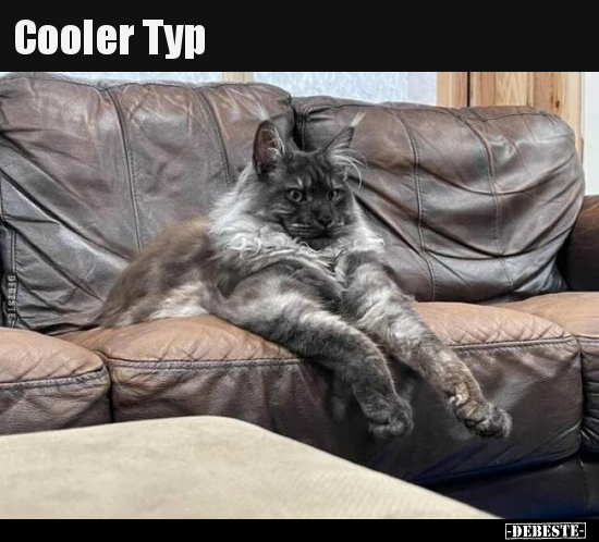 Cooler Typ.. - Lustige Bilder | DEBESTE.de