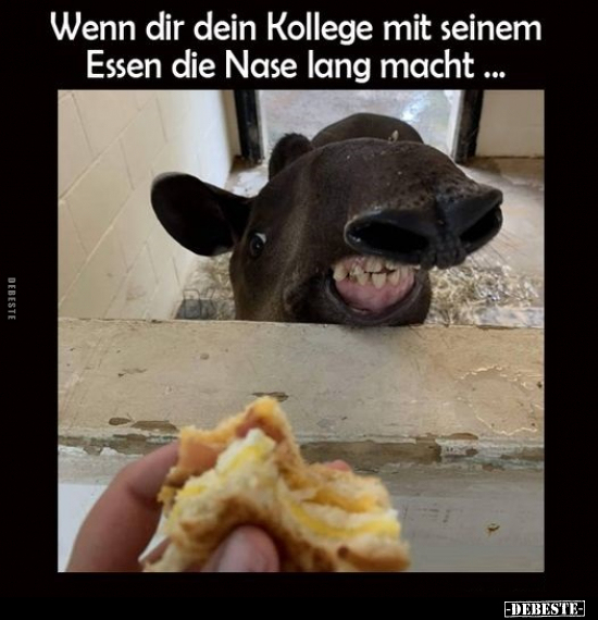 Wenn dir dein Kollege mit seinem Essen die Nase lang.. - Lustige Bilder | DEBESTE.de