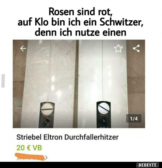 Striebel Eltron Durchfallerhitzer..