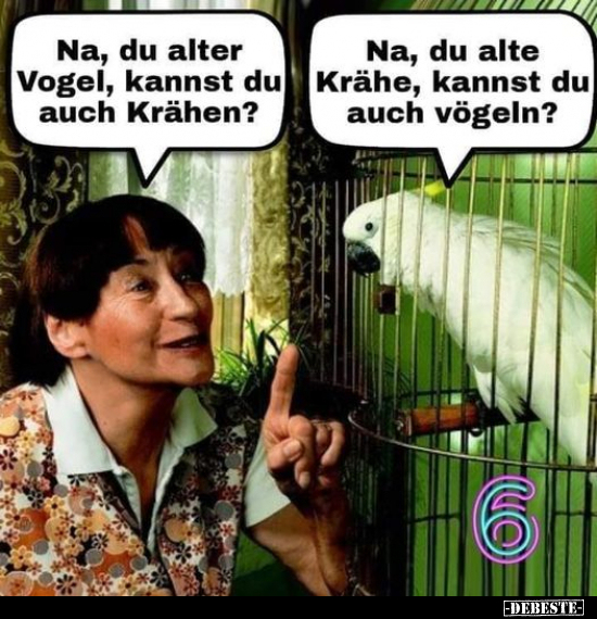 Na, du alter Vogel, kannst du auch krähen?... - Lustige Bilder | DEBESTE.de