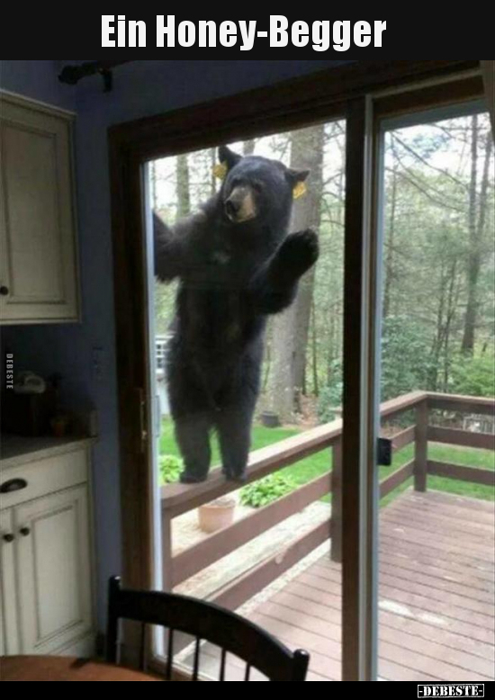 Ein Honey-Begger..