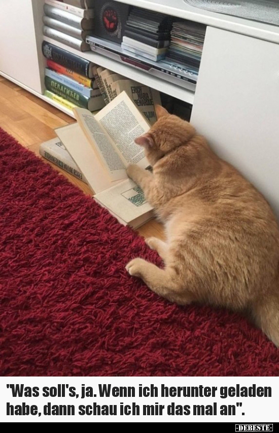 "Was soll's, ja. Wenn ich herunter geladen habe, dann.."