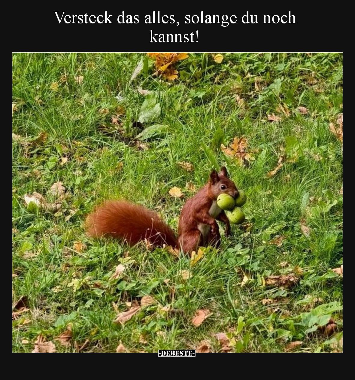 Versteck das alles, solange du noch kannst!