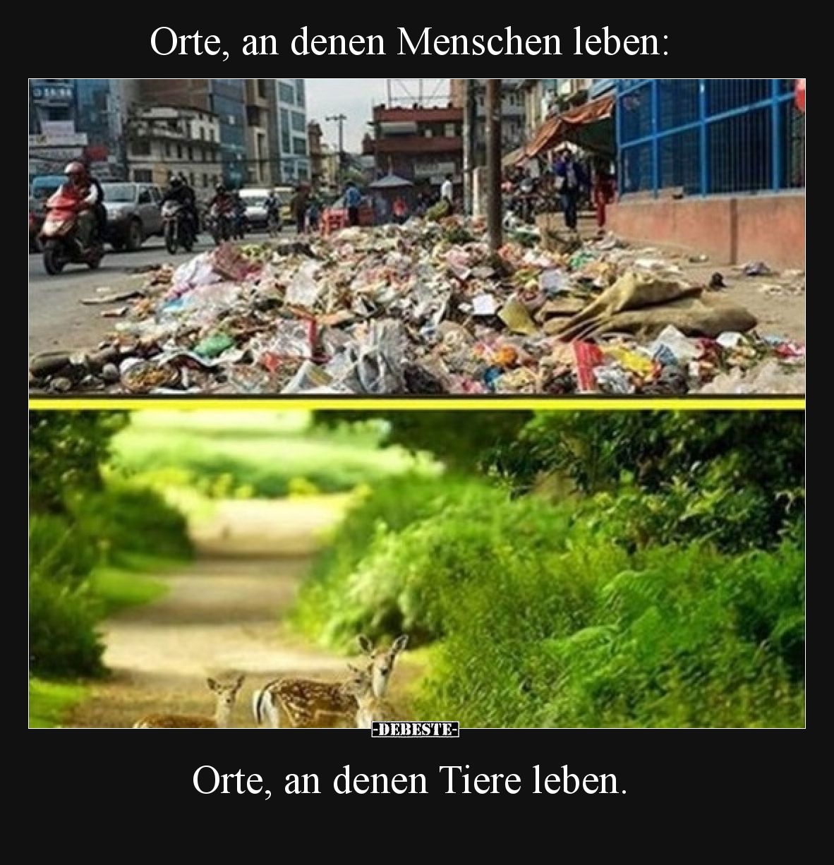 Orte, an denen Menschen leben: Orte, an denen Tiere leben: