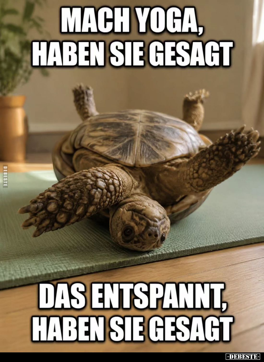 Mach Yoga, haben sie gesagt
-
Das entspannt, haben sie gesagt