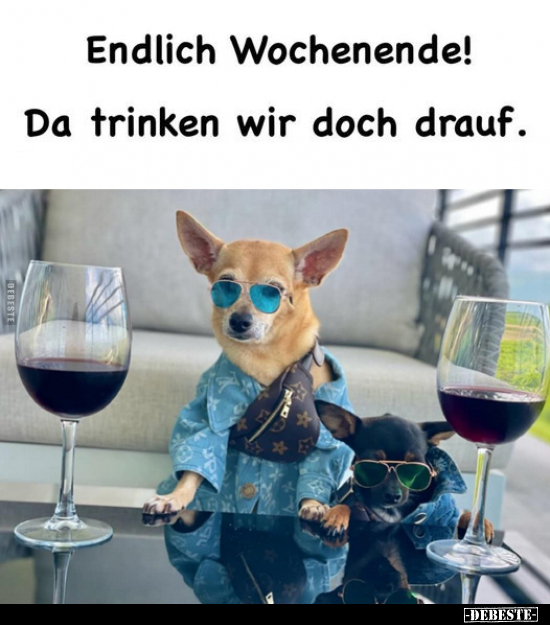 Endlich Wochenende! Da trinken wir doch drauf... - Lustige Bilder | DEBESTE.de