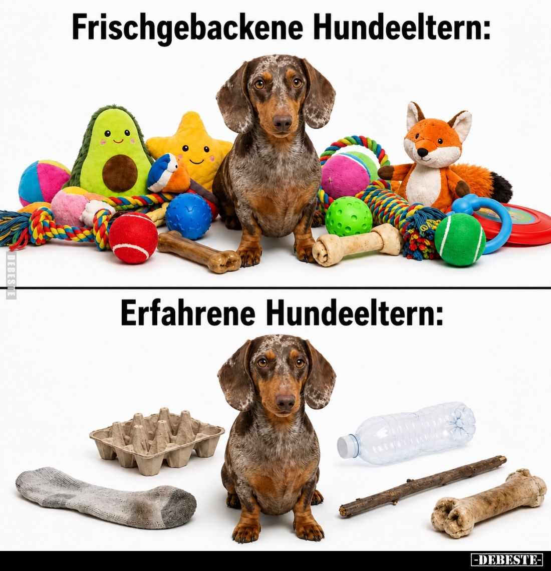 Frischgebackene Hundeeltern:
/
Erfahrene Hundeeltern:
