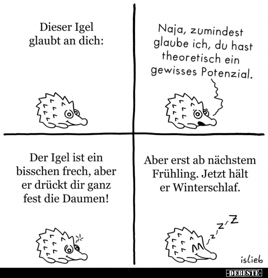 Dieser Igel glaubt an dich.. - Lustige Bilder | DEBESTE.de