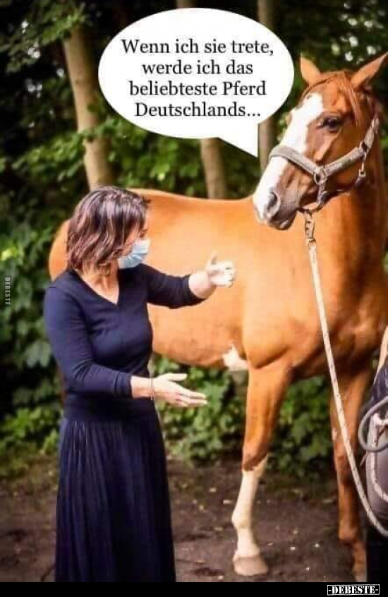 Wenn ich sie trete, werde ich das beliebteste Pferd.. - Lustige Bilder | DEBESTE.de